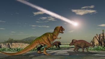 Nuovi studi sull'estinzione dei dinosauri