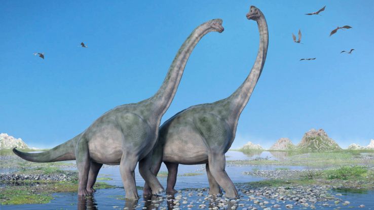 I dinosauri erano animali sociali?