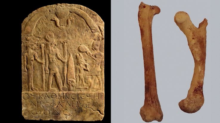 Uno strano culto dedicato a Horus: ecco cosa sappiamo di questo rituale egizio