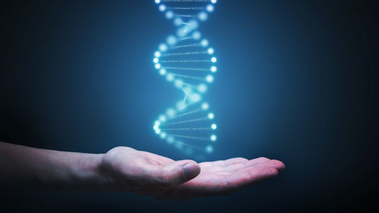 Alla ricerca dell'immortalità