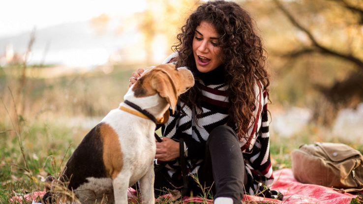 I cani capiscono quello che dici più di quanto pensi