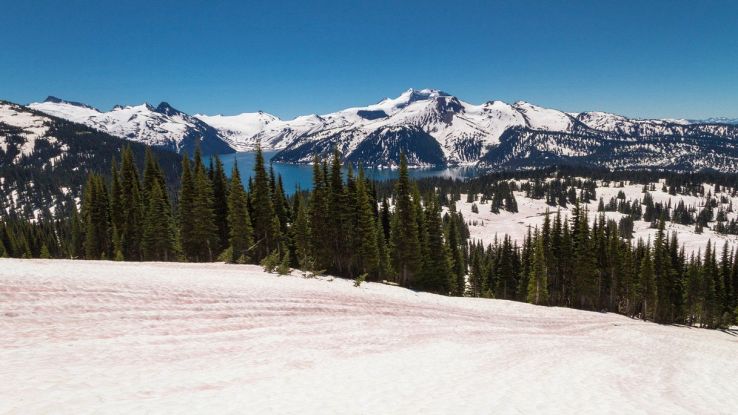 Perchè l'ultima neve sulla terra potrebbe essere rossa