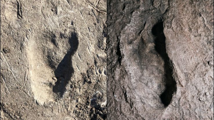 Scoperte antiche impronte che rivelano una nuova specie di ominide