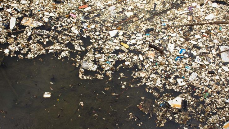 Nel Pacifico c'è così tanta spazzatura da diventare un habitat