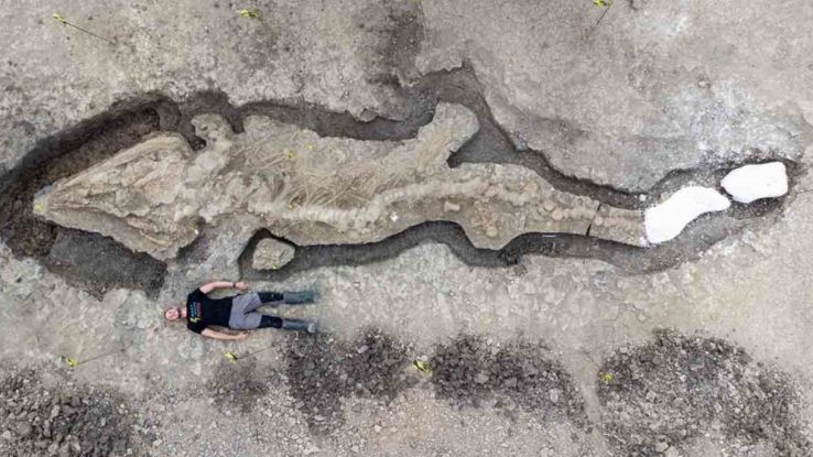I resti del drago marino scoperti nel Regno Unito