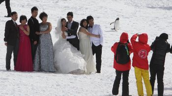 "Allarme matrimoni" in Antartide