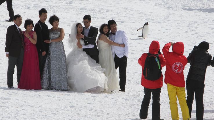 "Allarme matrimoni" in Antartide