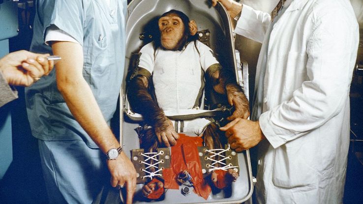 Ham, il primo scimpanzé nello spazio