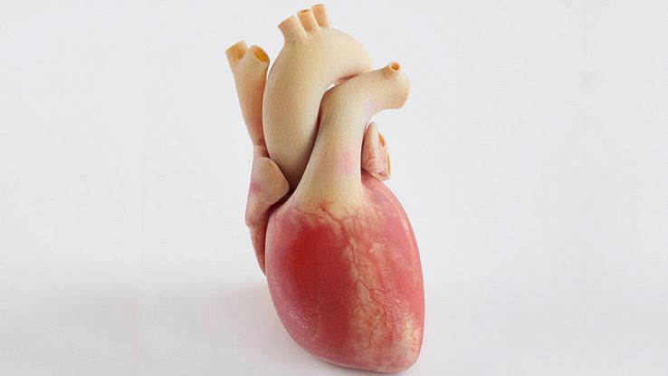 Stampa 3d: è italiana la stampante capace di creare gli organi umani