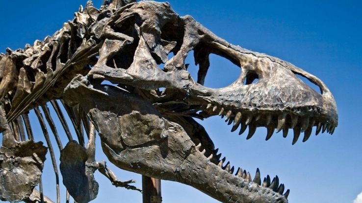 Nuova e sensazionale scoperta sul T-Rex