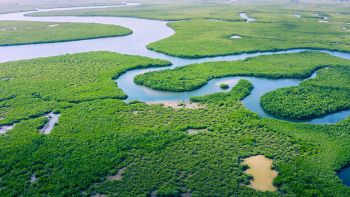 Foresta Amazzonica, il suo destino ormai è scritto: cosa dobbiamo aspettarci