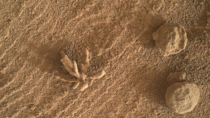 Il fiore minerale scoperto su Marte