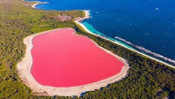 Il lago di Hillier e il mistero del colore rosa