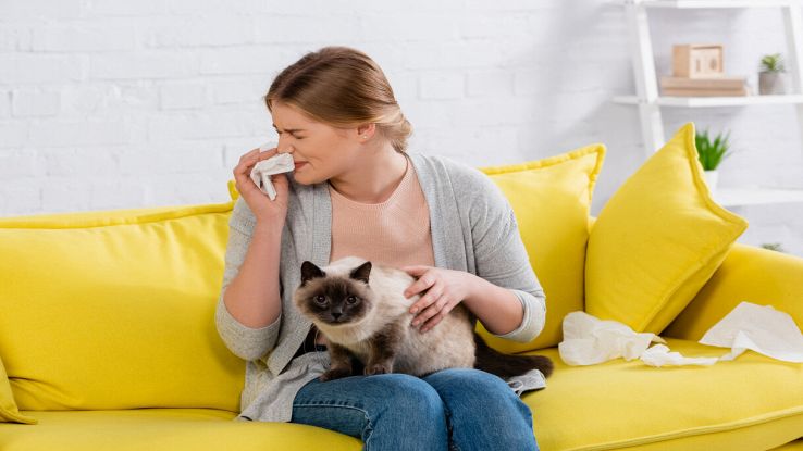 Addio allergia al gatto: la tecnologia rivoluzionaria