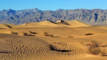 Il deserto è vivo, respira aria umida