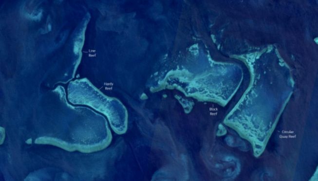 Sbiancamento dei coralli: cosa ha "visto" il satellite