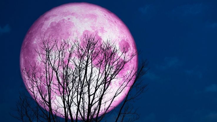 Lo spettacolo della Luna Rosa