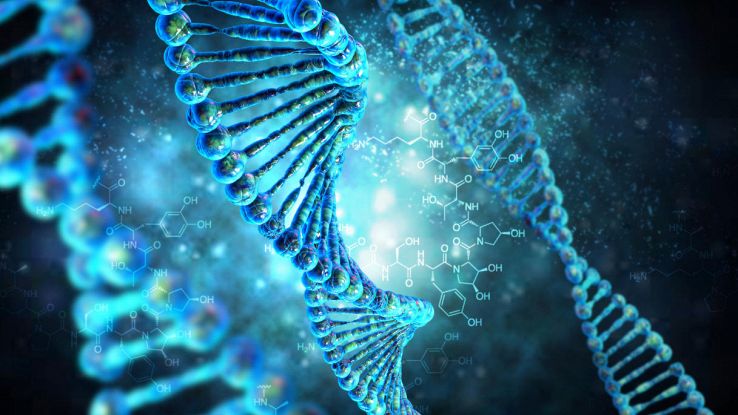 DNA: da dove proviene?
