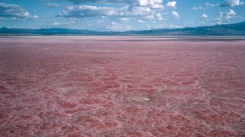 Esiste un lago al mondo letale per l'uomo e gli animali: dove si trova