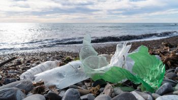 Inquinamento e bioplastiche secondo il CNR