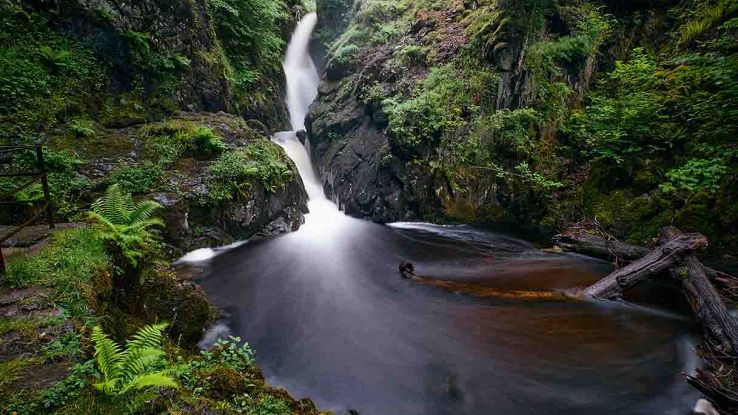 Cumbria, un lago diventa terreno di caccia di una misteriosa creatura