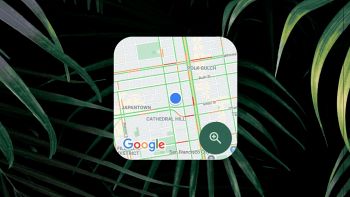 google maps widget