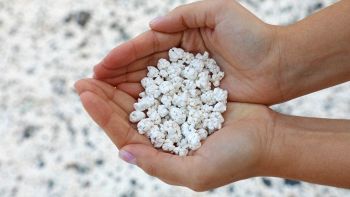 La spiaggia "piena" di pop corn