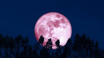 Super Luna di fragola: come vederla