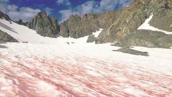 Neve rossa o di sangue, la neve misteriosa analizzata dalla scienza