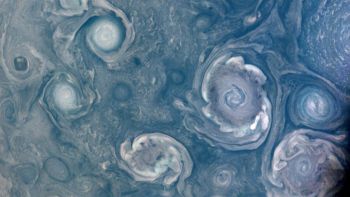 Avvistati dei vortici su Giove