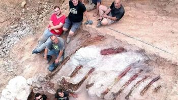 Enorme, estinto, e forse da record: ritrovamento incredibile nel giardino di casa