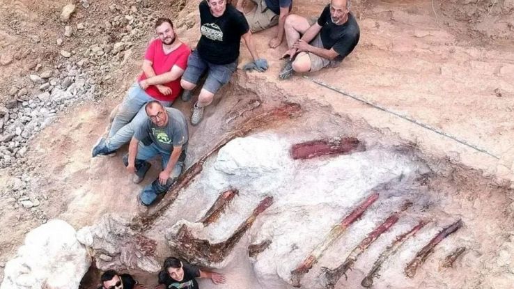 Enorme, estinto, e forse da record: ritrovamento incredibile nel giardino di casa