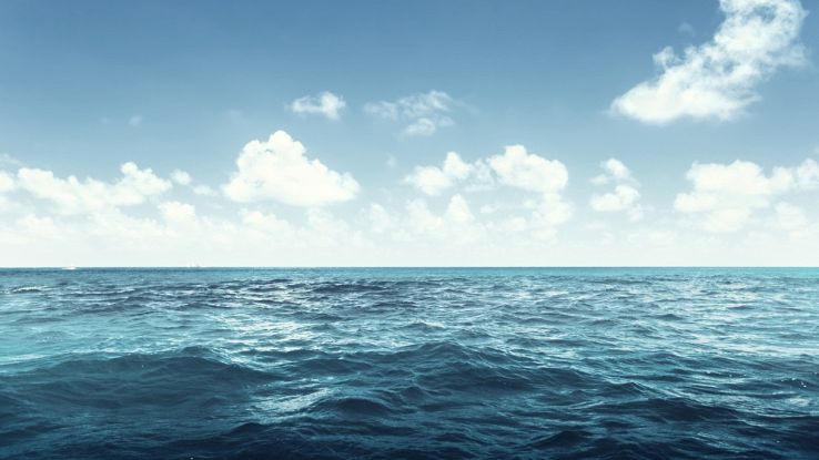 Il nostro mare è come quello dei Caraibi, ma stavolta non è un buon segno
