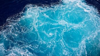 La preoccupante situazione dei nostri mari
