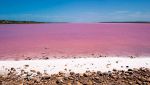 Acque rosa: perché in alcuni luoghi del mondo i laghi sono di questo colore?
