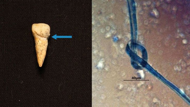 Sacrifici umani e strane stringhe blu: la scoperta sui Maya