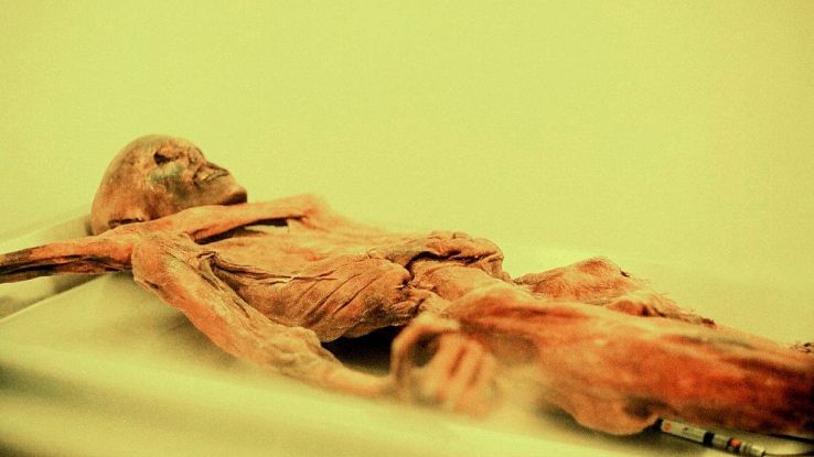 Nuova teoria sulle mummie