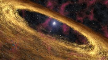 La stella appena avvistata