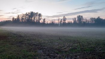 Nebbia nella Pianura Padana