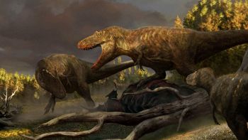 Scoperto un dinosauro mai visto prima