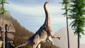 Ha il collo più lungo mai esistito: trovati i fossili di un dinosauro da record