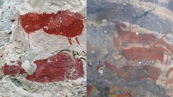 Unicorni sulle pitture rupestri: forse esistevano davvero