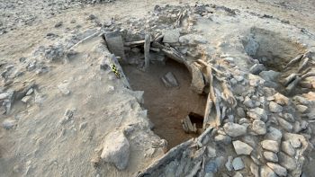 Hanno trovato reperti unici nel deserto