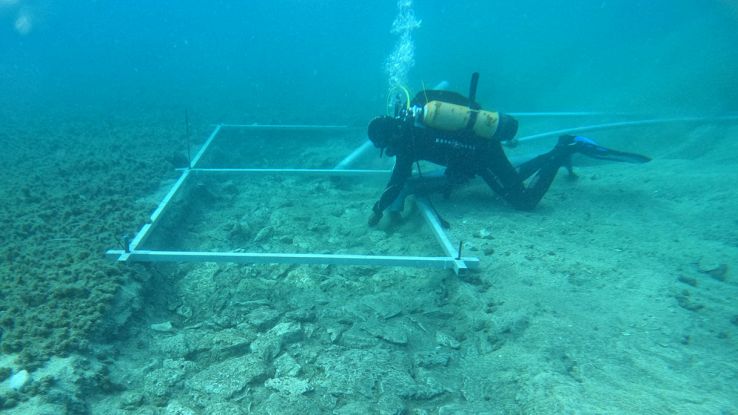 Trovato un antico passaggio sotto il mare: la scoperta sorprendente