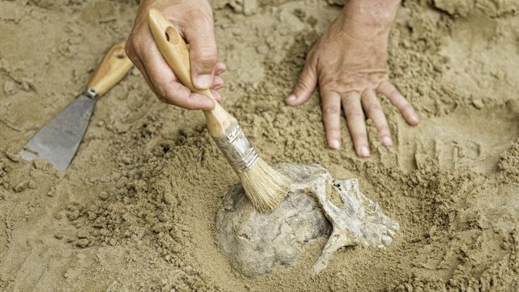 Antropologo scopre un teschio nascosto sotto terra