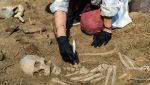 Archeologa che riesuma alcuni resti umani