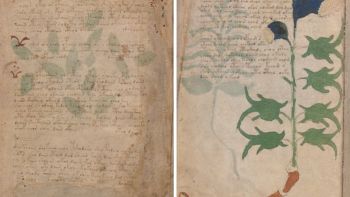 L'incredibile manoscritto Voynich