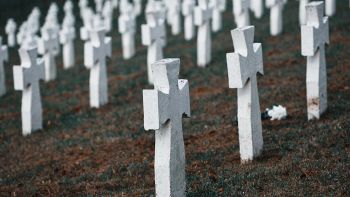 Tombe in un cimitero