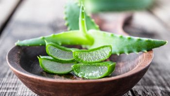 Possiamo usare le bucce di aloe vera come pesticida naturale