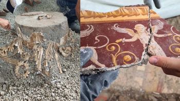 Nuovi reperti emersi dagli scavi vicino a Pompei